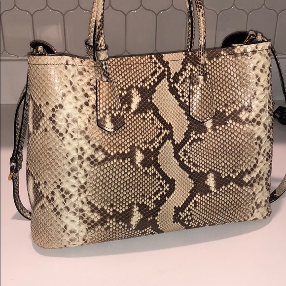 Prada Python Bag - Picture 3 of 6